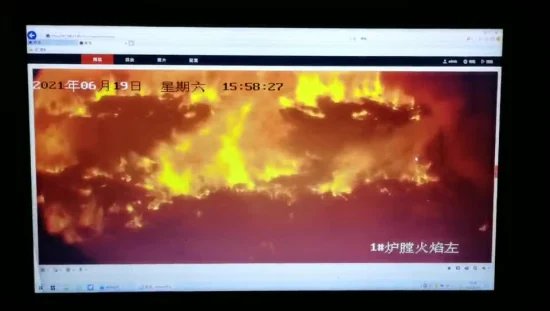 高温サファイアレンズを使用した内視鏡型防爆高温監視装置